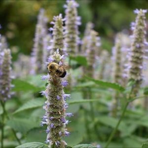 Meet your Posher, Arianna